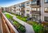 Modern apartment community with balconies overlooking a beautifully landscaped courtyard featuring lush greenery and elegant walkways.