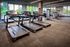 Modern fitness center with state-of-the-art treadmills, expansive windows, and lush outdoor views.