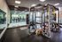 Modern gym interior featuring state-of-the-art fitness equipment, including a versatile functional training frame, surrounded by large windows for natural light and inspiring views.