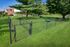 Lush fenced dog park surrounded by trees, featuring agility equipment and a serene atmosphere.