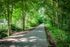 Shore Acres Apartments in Indianapolis, IN - Monon Trail path offering a tranquil escape into nature, perfect for leisurely strolls and enjoying lush greenery.