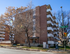 Charming urban apartment building with spacious balconies, nestled among autumn trees on a sunny city street corner.