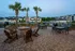 Picnic Area with Grills and Fire Pit at Abberly Crossing Apartments in Ladson, SC