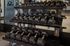 Modern gym with a well-organized rack of diverse dumbbells, promoting an active lifestyle and fitness convenience.