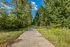Scenic pathway surrounded by lush green trees under a clear blue sky, ideal for peaceful nature walks.