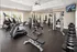 Modern fitness center featuring state-of-the-art equipment, free weights, and cardio machines in a bright, spacious environment.