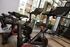 Modern fitness center with high-end Peloton bikes, bright natural light, and an inviting view of the outdoor pool area.