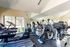 Bright and spacious apartment gym featuring modern exercise equipment and large windows for natural light.