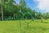 Lush green dog park with agility training equipment including hoops and jumps, surrounded by a forest backdrop.
