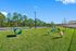 Inviting outdoor dog park with agility equipment surrounded by lush greenery and blue skies, perfect for active play.