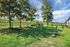 Inviting green dog park with agility hoops and play equipment surrounded by lush trees, perfect for outdoor fun.