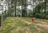 Charming outdoor area with lush greenery, featuring a cozy bench and a vibrant red fire hydrant, perfect for relaxation and enjoying nature.