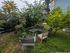 Charming garden oasis featuring lush greenery, vibrant flowers, and cozy outdoor seating, perfect for relaxation.