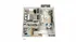 1x1 Floor Plan | Q at Maitland