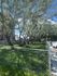2 Different Dog Parks for you Pets
