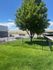 North Dog Park