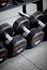 Premium gym with sleek dumbbell rack showcasing a variety of weights, perfect for strength training enthusiasts.