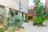Vibrant apartment entrance with lush desert landscaping, featuring various cacti and palms against a modern building backdrop.