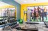 Vibrant gym interior with modern equipment, dumbbells, and inspiring horse racing mural on yellow and blue walls.