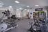 Modern fitness center featuring state-of-the-art cardio equipment, sleek design, and spacious workout area.