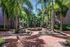Enchanting landscaped courtyard with a central tiered fountain, surrounded by lush palm trees and vibrant foliage, creating a serene oasis.