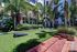 Lush green courtyard with palm trees and a vibrant lawn, offering a serene outdoor retreat in a modern apartment complex.