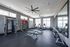 Modern apartment gym with a range of fitness equipment, including treadmills, weights, and exercise machines, bathed in natural light from large windows.