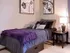 Standard Bed