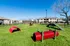 Charming pet-friendly apartment complex featuring a vibrant outdoor dog park with agility equipment set amid lush green grass.