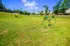 Expansive green space with vibrant lawn, perfect for outdoor activities, featuring a unique agility course and shaded seating area under blue skies.