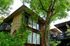 Charming apartment complex with rustic brick facade, lush greenery, and inviting balconies nestled among tall, mature trees.