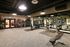 Modern fitness center featuring a mirrored wall, state-of-the-art gym equipment, and vibrant forest-themed mural decor.