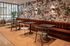 Chic dining area with plush velvet bench seating, stylish modern tables, and vibrant tropical wallpaper offering an inviting and sophisticated atmosphere.