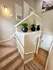 Inviting entryway with stylish staircase and elegant plant decor, leading to a modern interior space.