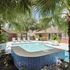 Inviting outdoor pool area surrounded by lush palm trees and elegant lounge chairs, perfect for relaxation and leisure.