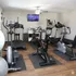 Modern apartment gym with state-of-the-art exercise bikes, treadmills, and cardio equipment on sleek wooden flooring.