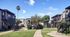 Charming apartment complex with lush green walkways, mature trees, and a sunny courtyard, perfect for modern living.