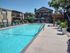 Inviting apartment complex featuring a pristine swimming pool with stylish loungers, surrounded by lush greenery and elegant architecture.