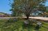 Charming outdoor area with shaded picnic tables and lush greenery, perfect for relaxation and gatherings.