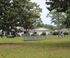 Charming suburban homes nestled among lush trees with a picturesque lawn, offering serene and inviting community living.