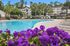 Charming apartment complex featuring a sparkling pool surrounded by lush greenery and vibrant purple flowers, perfect for a relaxing retreat.