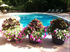 Vibrant swimming pool oasis with colorful flower planters and relaxing lounge chairs.
