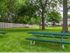 Picnic Grove