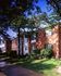 Charming brick apartment exterior surrounded by lush greenery and tall trees, offering a serene and inviting atmosphere.