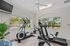 Bright and airy fitness center with modern exercise equipment, overlooking a lush tropical view for an inspiring workout experience.