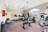 Bright and inviting fitness center featuring modern cardio equipment, exercise balls, and large windows for natural light.