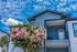 Modern apartment exterior with charming balcony and vibrant pink flowering tree under a bright blue sky.