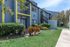Charming apartment exterior with colorful landscaping and vibrant blue walls, enhanced by sunny yellow accents.