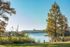 Serene lakeside view with lush greenery and tall trees, perfect for nature lovers seeking tranquility.