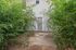 Charming backyard entry with lush green bamboo framing a welcoming gray door, adding privacy and serenity to your home.